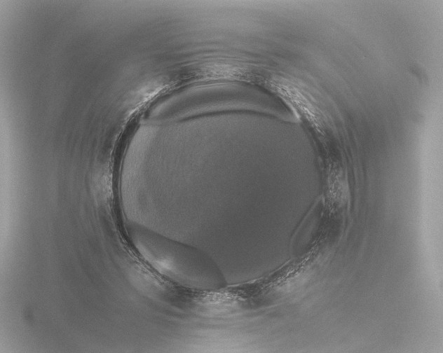 X0000116420399200912221449