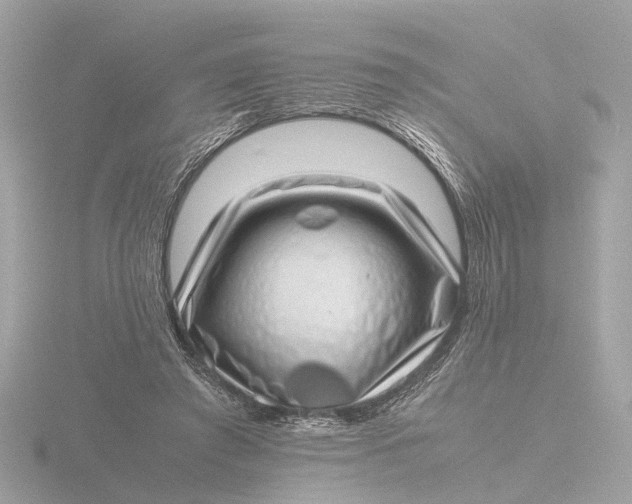 X0000116420401200912221449