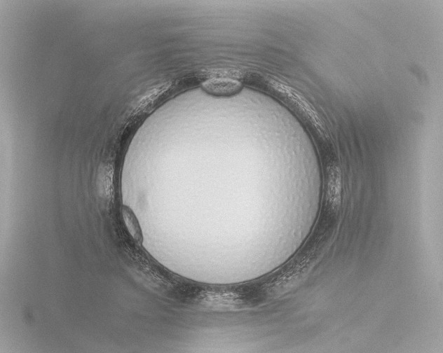 X0000116420403200912221449