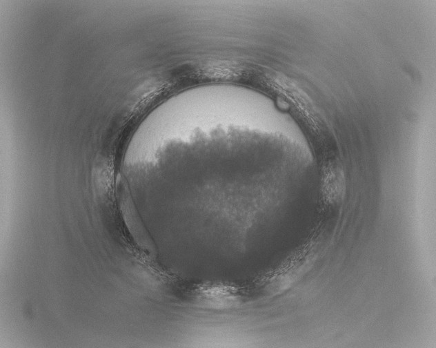 X0000116420407200912221449