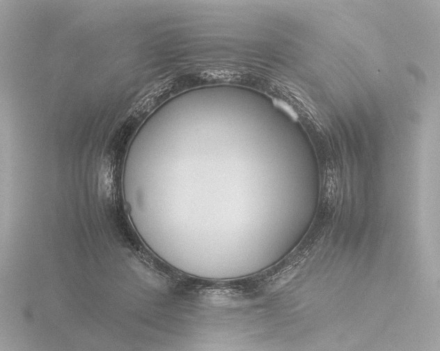 X0000116420408200912221449