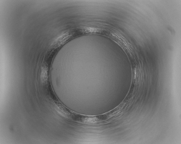 X0000116420410200912221449