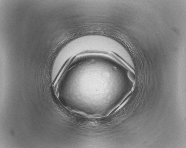 X0000116420411200912221449