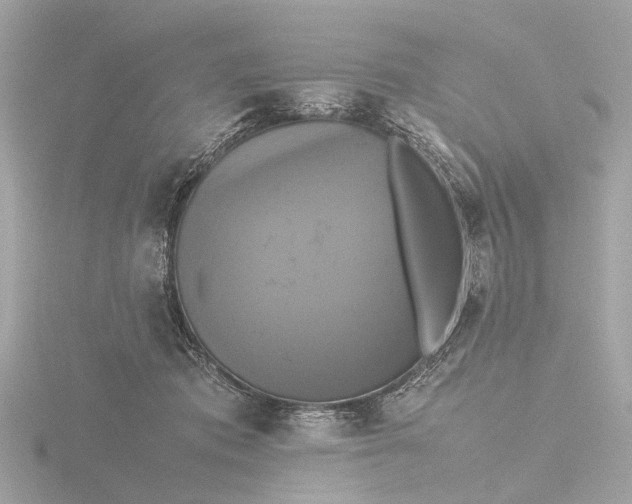 X0000116420413200912221449