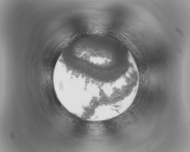 X0000116420415200912221449