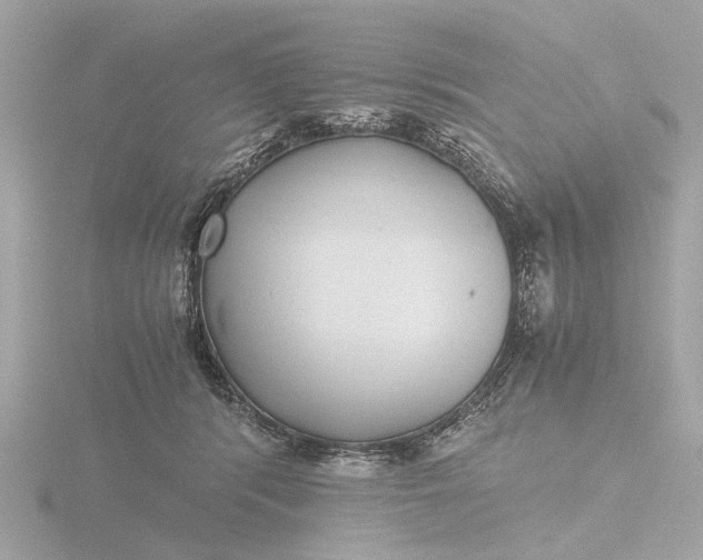 X0000116420416200912221449