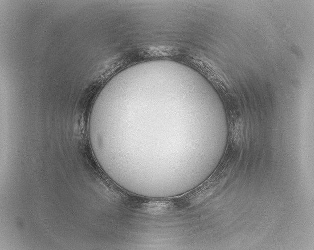 X0000116420418200912221449