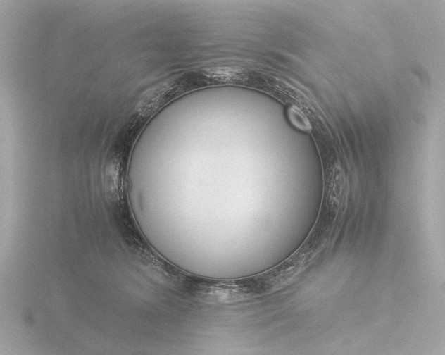 X0000116420420200912221449