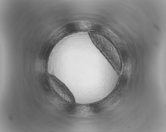 X0000116420421200912221449