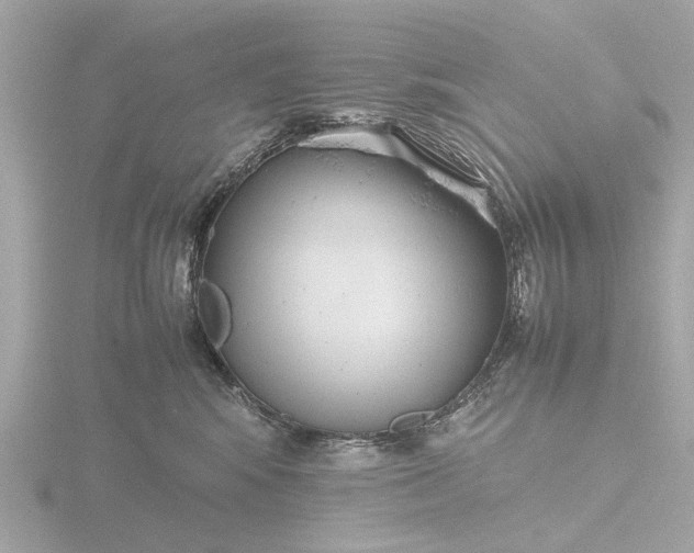 X0000116420424200912221449
