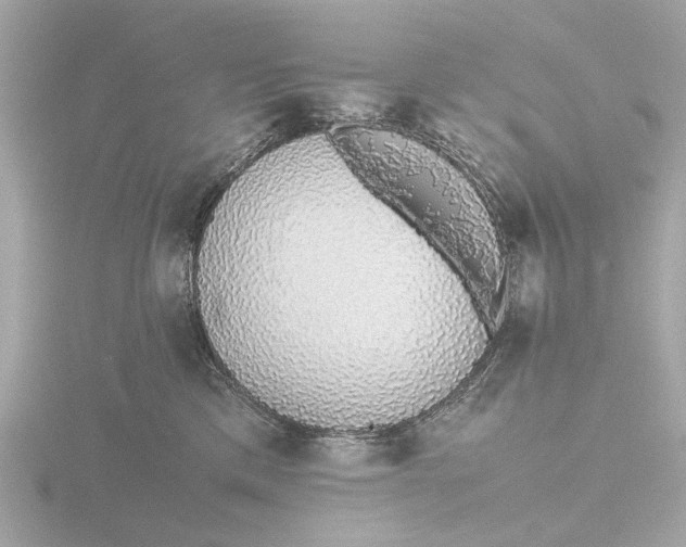 X0000116420425200912221449
