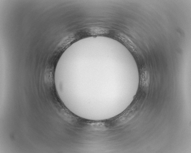 X0000116420426200912221449