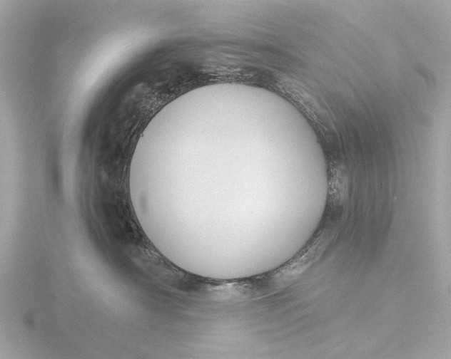 X0000116420430200912221449