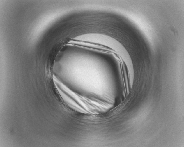 X0000116420431200912221449