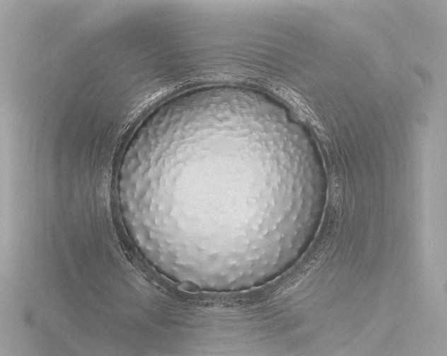 X0000116420434200912221448