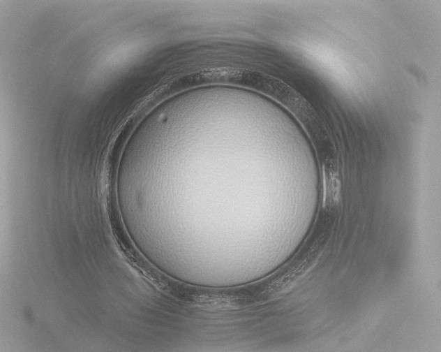 X0000116420435200912221448