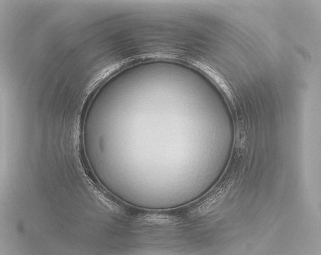X0000116420437200912221448