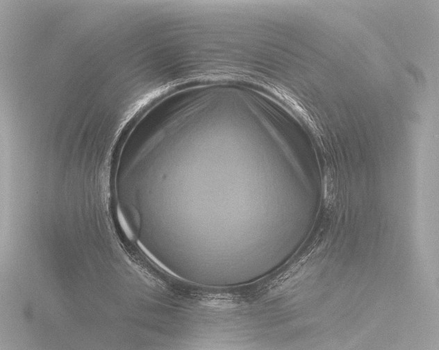 X0000116420438200912221448