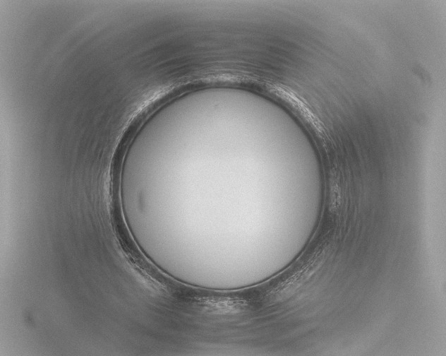 X0000116420439200912221448