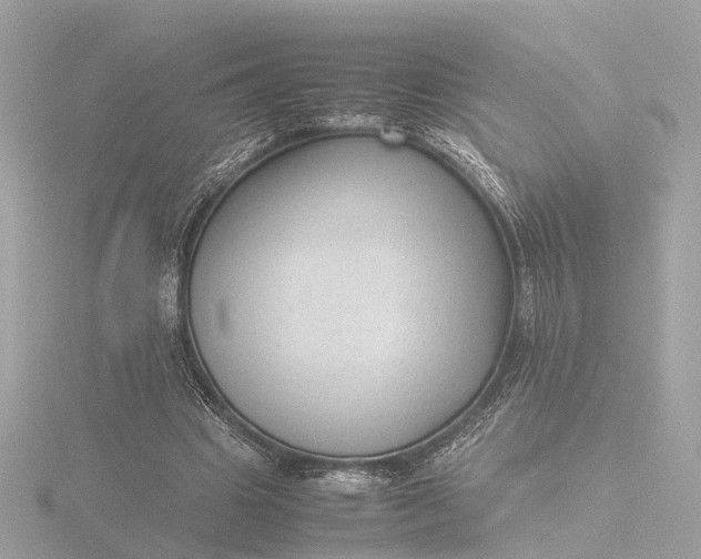 X0000116420441200912221448
