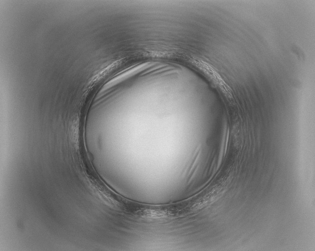 X0000116420442200912221448