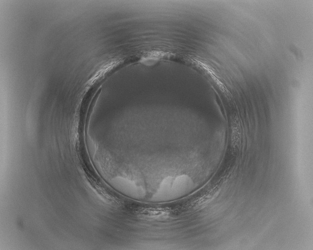 X0000116420443200912221448