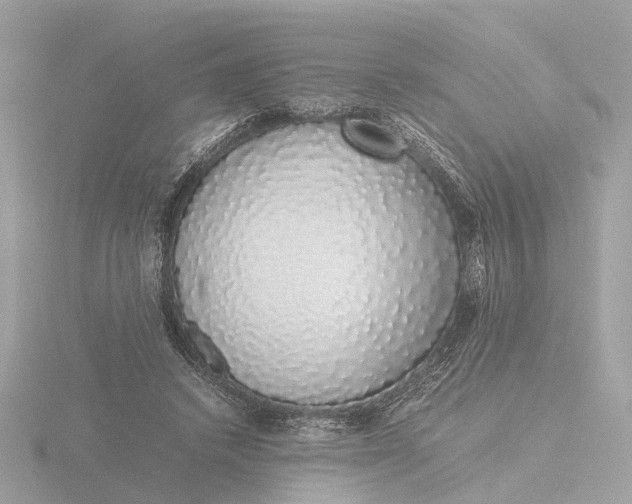X0000116420448200912221448