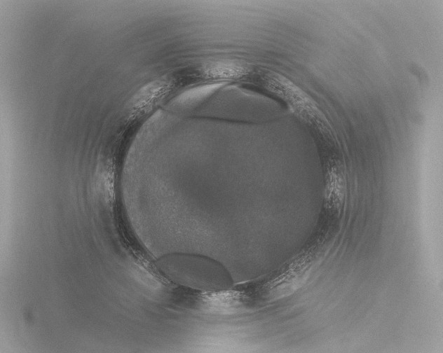 X0000116420452200912221449