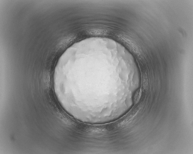 X0000116420453200912221449