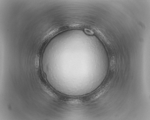 X0000116420454200912221449