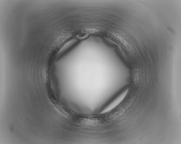 X0000116420455200912221449