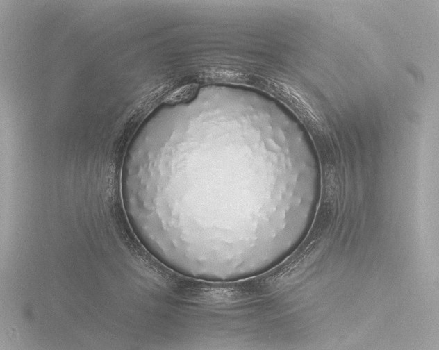 X0000116420457200912221449