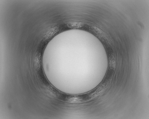 X0000116420460200912221449