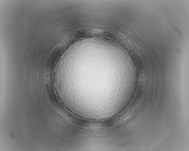 X0000116420462200912221449
