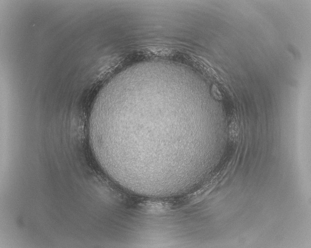 X0000116420464200912221449