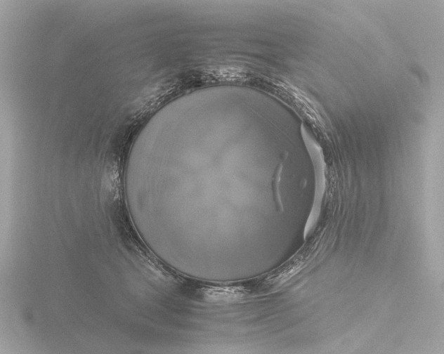 X0000116420465200912221449