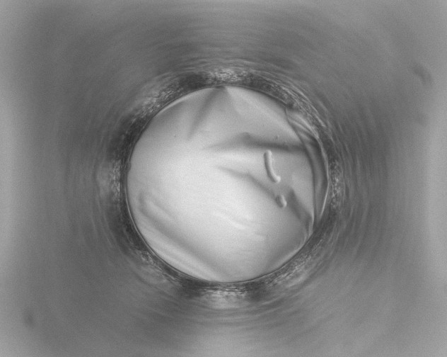 X0000116420466200912221449