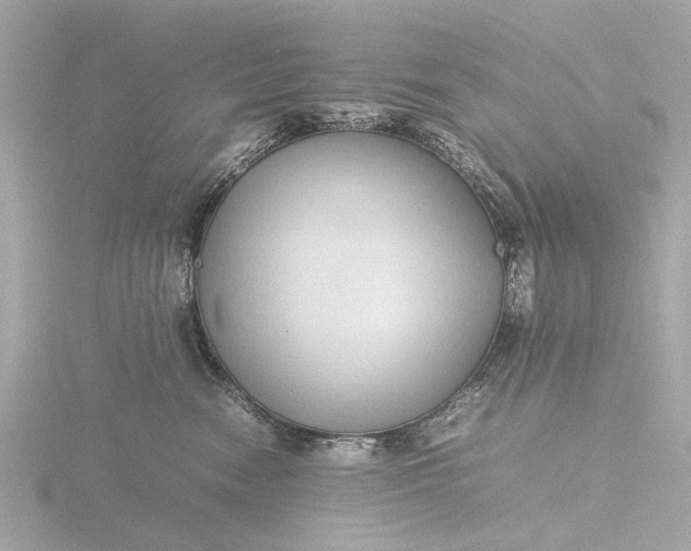 X0000116420474200912221449