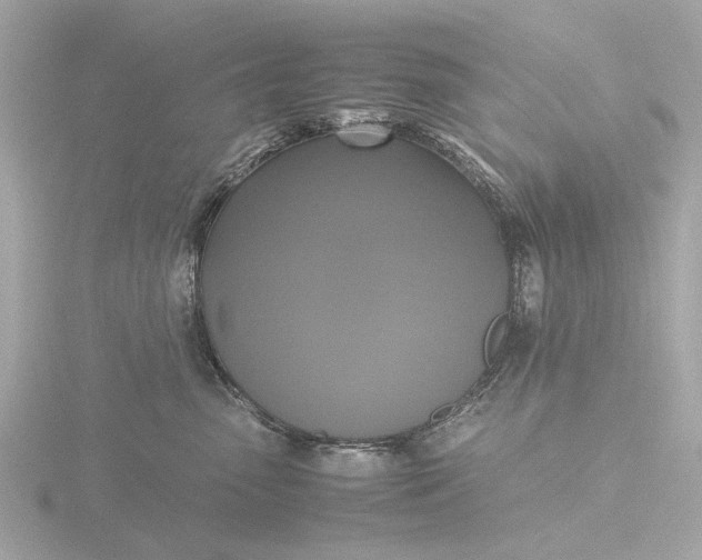 X0000116420475200912221449
