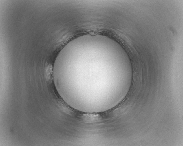 X0000116420480200912221449