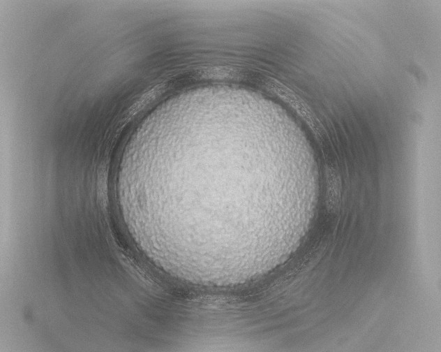 X0000116420482200912221448