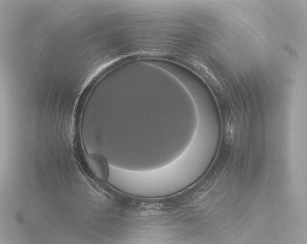 X0000116420484200912221448