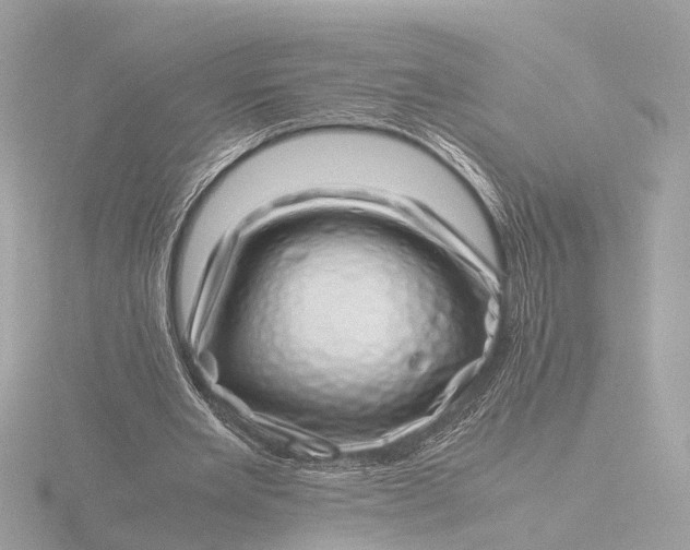 X0000116420485200912221448