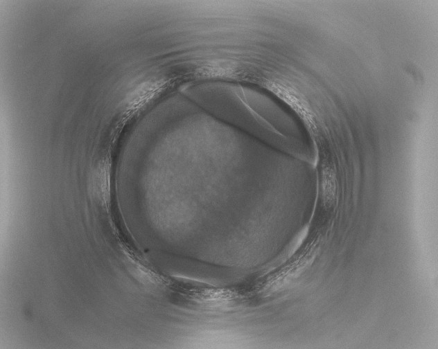 X0000116420493200912221448