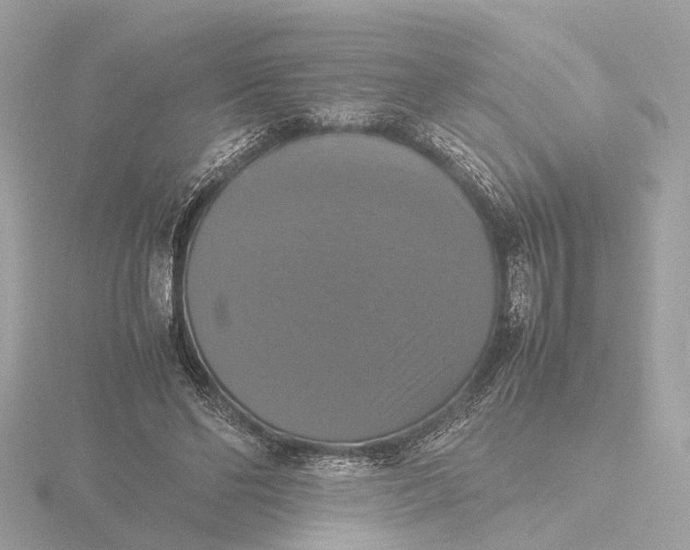 X0000116420494200912221448
