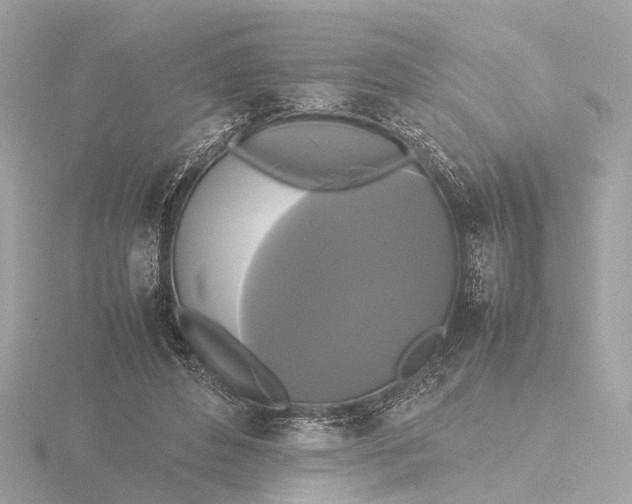 X0000116420496200912221448