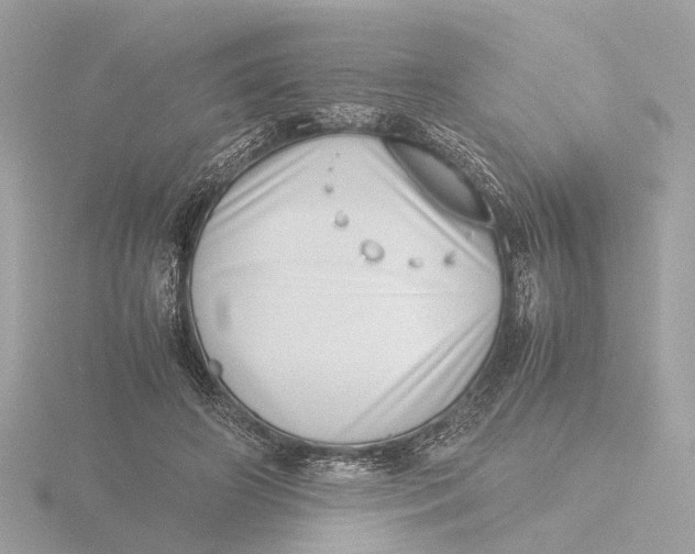 X0000116420498200912221448