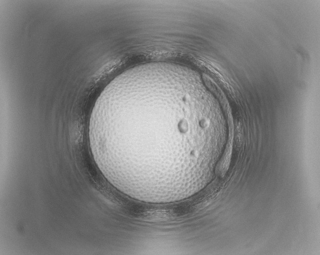X0000116420499200912221448