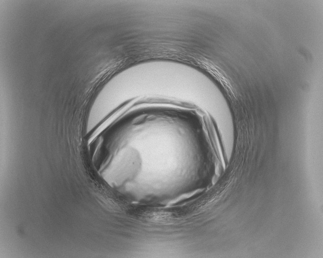 X0000116420501200912221448