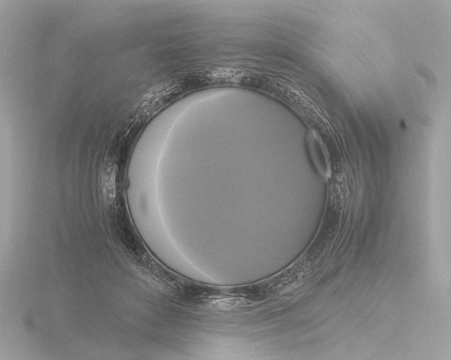 X0000116420504200912221448
